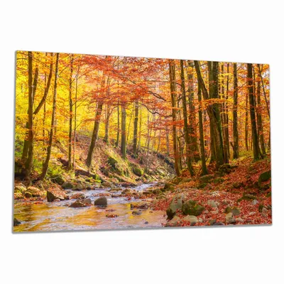 Produktbild von Wallario Herdabdeckplatte aus Glas, Größe 90 x 52 cm 1-teilig, Motiv Herbstwald mit Bach