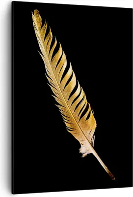 Produktbild von Bild auf Leinwand - Leinwandbild - Einteilig - Golden Feder Schwarz - 50x70cm - Wand Bild - Wanddeko - Wandbilder - Leinwanddruck - Wanddekoration - Leinwand bilder - Wandbild - PA50x70-4887