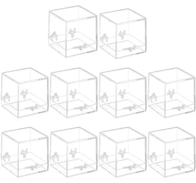 10er-Pack durchsichtige Mineralboxen, 35x35x35 mm, Kunststoff