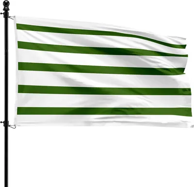 Imagen del producto de Bandera, 90 x 150 cm, poliéster, para asta de bandera