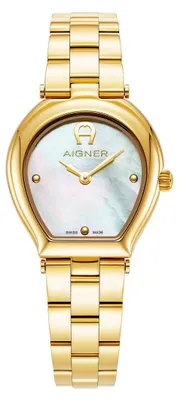 Image de Aigner Montre Trani Gold