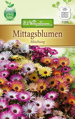 Produktbild von Mittagsblume Mischung  | Blumensamenmischung von N.L. Chrestensen