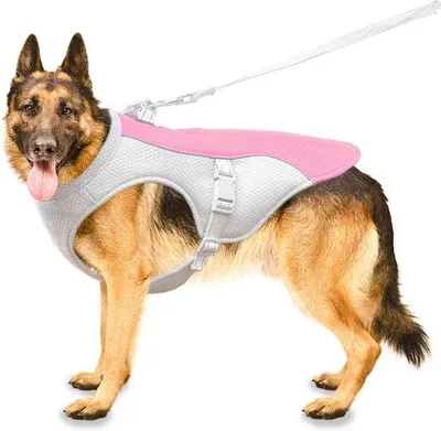 Produktbild von Famanu Hundekühlweste mit verstellbarem Brustband - für kleine, mittelgroße und große Hunde