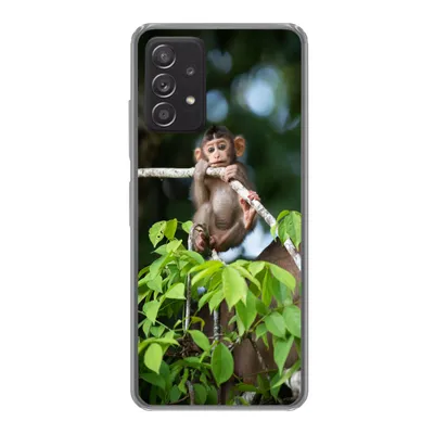 Produktbild von MuchoWow® Handyhülle Schutzhülle Hülle für Samsung galaxy a73 Baby - Affe - Äste Silikon Softcase Handy Hülle - Handyhülle