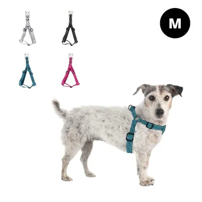 Productafbeelding van Hondenriem BRAIDED, maat M - verschillende kleuren. Kleur: Lichtgrijs