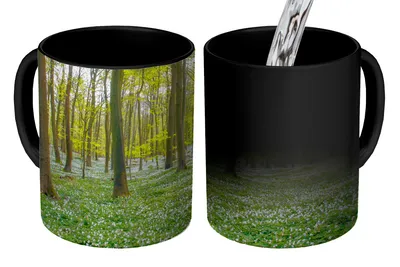 Obrázek produktu pro MuchoWow® Kouzelný pohár Stromy - Květiny - Jaro 350 ml Barva měnící se pohár Dárkový nápad - foto hrnek