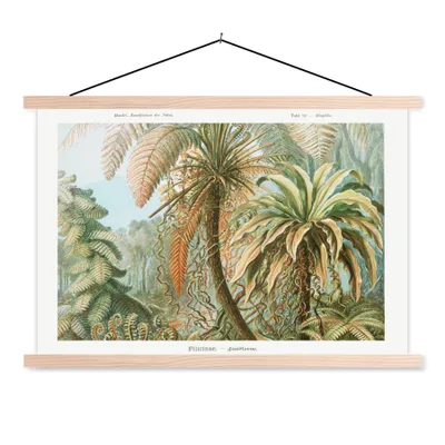 Produktbild von MuchoWow® Textilposter Vintage - Alte Meister - Farne - Pflanzen - Natur 120x80 cm mit holzfarbenen Rahmen - Aufhängeset