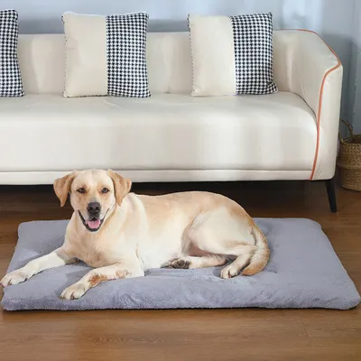 A dog is lying on a pet mat in front of a couch.