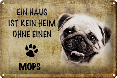 Produktbild von Blechschild Spruch 30x20cm Mops Hund ohne kein Heim