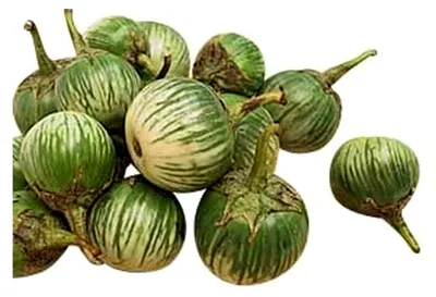 Produktbild von Thai-Aubergine - Solanum virginianum - 100 Samen
