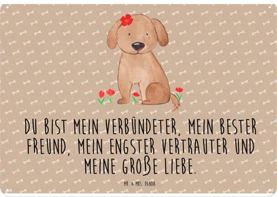 Produktbild von Mr. & Mrs. Panda Schild Hund Dame DIN A4 - Hundeglück - Geschenk, Metallschild, Türschild, Liebe, Sprüche, Wandbild, Liebenswert, Hundeliebe, Blechschild, Hunde, Niedlich