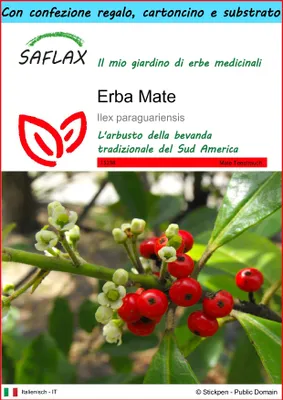 Immagine prodotto di SAFLAX Set regalo - Erba Mate - 10 semi - Ilex
