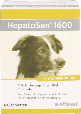 Produktbild von HepatoSan 1600 120 Tab.