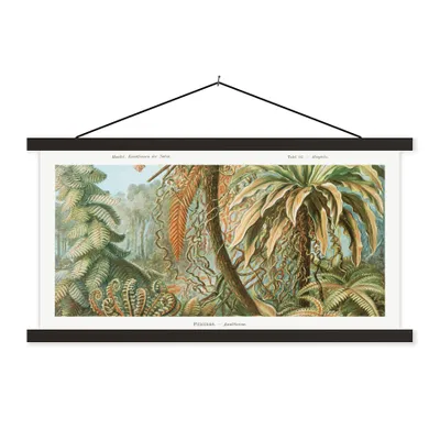Produktbild von MuchoWow® Textilposter Vintage - Alte Meister - Farne - Pflanzen - Natur 90x45 cm mit schwarzem Rahmen - Klemmleisten