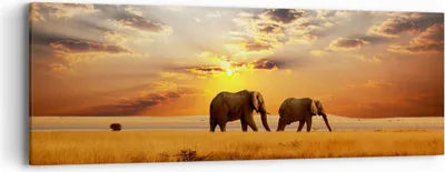 Produktbild von Bild auf Leinwand - Leinwandbild - Elefanten Safari Dschungel Busch - 90x30cm - Wand Bild - Wanddeko - Leinwanddruck - Bilder - Kunstdruck - Wanddekoration - Leinwand bilder - Wandkunst - AB90x30-3150