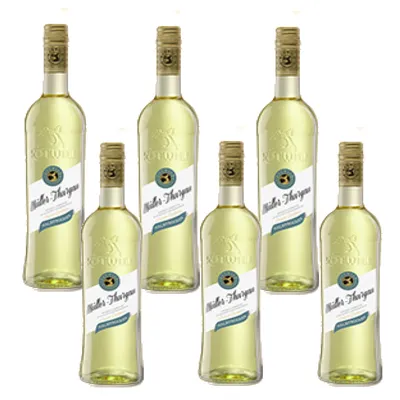 Immagine prodotto di Rotwild Müller Thurgau vino bianco semisecco 750ml confezione da 6 pezzi