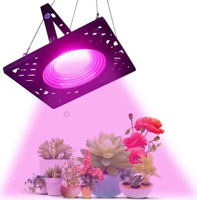 A grow light illuminates a collection of potted plants.