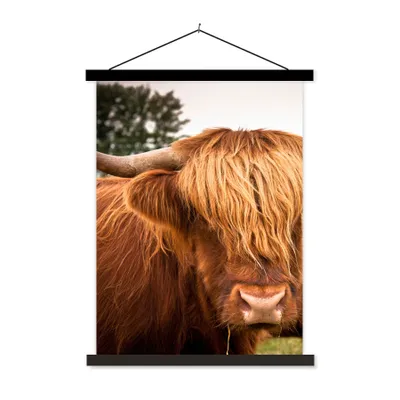 Produktbild von MuchoWow® Textilposter Schottische Highlander - Braun - Gras 40x53 cm mit schwarzem Rahmen - Abbildung