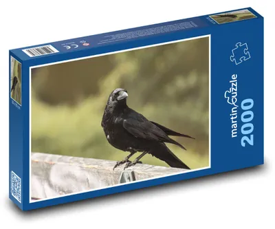 Zdjęcie produktu dla martinpuzzle - Puzzle 2000 - Wrona na drzewie