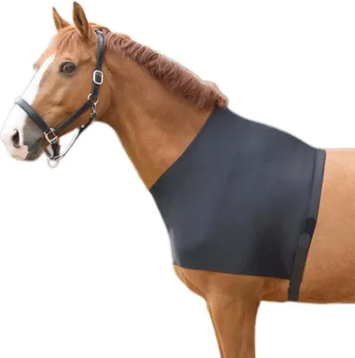 Obrázok produktu pre Harry's Horse Elastický chránič hrudníka Modrá M Modrá M