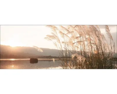Produktbild von Glasbild Sunset on the Lake I 80x30 cm
