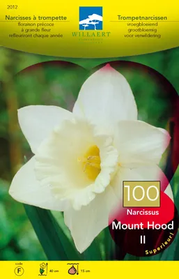 Immagine prodotto di 100 x Narciso trombetta 'Mount Hood' - Blumenzwiebel