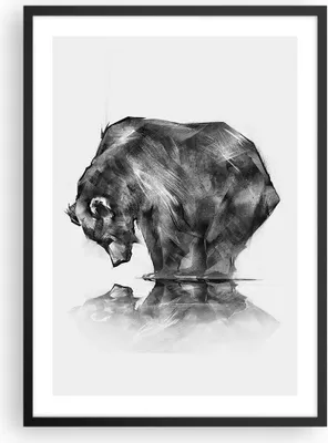 Produktbild von Gerahmtes Poster - Schwarzer Rahmen - Bär Tier - 50x70 cm - Wand Bild - Wanddeko - Wandbilder - Kunstposter - Wandposter - Bilderrahmen - Bilder - Kunstdruck - Wandbild - P2BPA50x70-3921