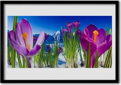 Produktbild von Bild 70x50 MDF-Rahmen Wandkunst Blumen Pflanzen Natur