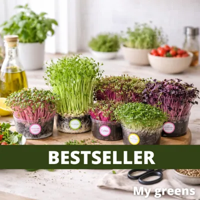 Zdjęcie produktu dla Zestaw do uprawy mikroziół "My Greens" –
