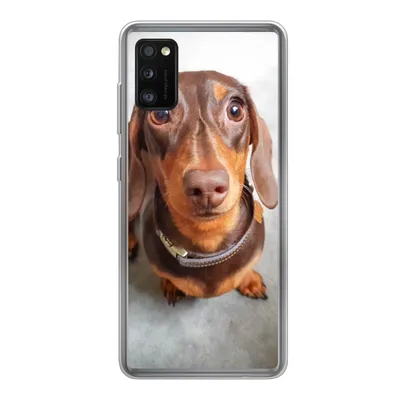 Produktbild von MuchoWow® Handyhülle Schutzhülle Hülle für Samsung Galaxy A41 Nahaufnahme des Kopfes eines Dackels Silikon Softcase Handy Hülle - Mobiltelefon
