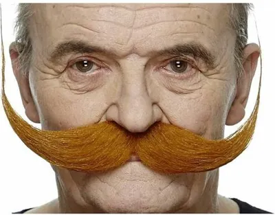 Immagine prodotto di L'altro me Baffi arancioni