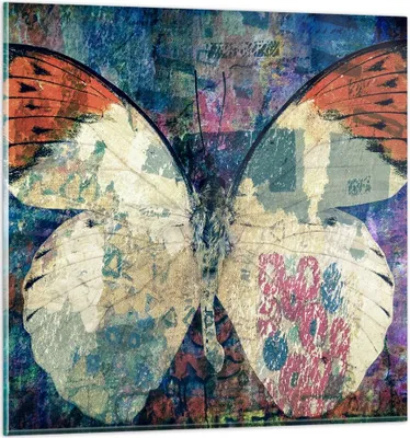 Produktbild von Bilder auf glas - Schmetterling Abstraktion - 70x70cm - Glasbilder - Wandbilder - Kunstdruck - zum Aufhängen bereit - Wanddekoration aus Glas - Glas Bilder - Wandbild auf Glas - GAC70x70-3990