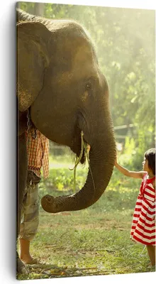 Produktbild von Bild auf Leinwand - Leinwandbild - Elefant Tier - 45x80cm - Wand Bild - Wanddeko - Wandbilder - Leinwanddruck - Bilder - Kunstdruck - Wanddekoration - Leinwand bilder - Wandkunst - PA45x80-3884