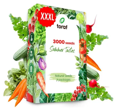 Image de Graines de légumes - Set de 7 variétés - Carotte, persil, radis, épinard, betterave, laitue et concombre
