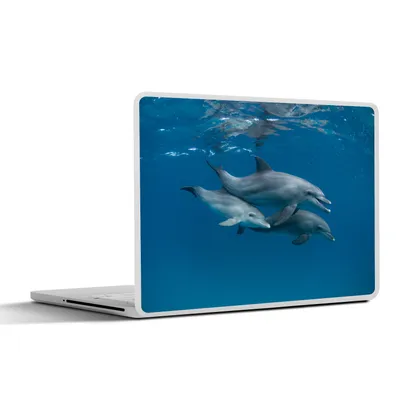 Produktbild von MuchoWow® Laptop Aufkleber Sticker Cover Delfine - Meer - Blau 31x22.5 cm - Laptop-Deko