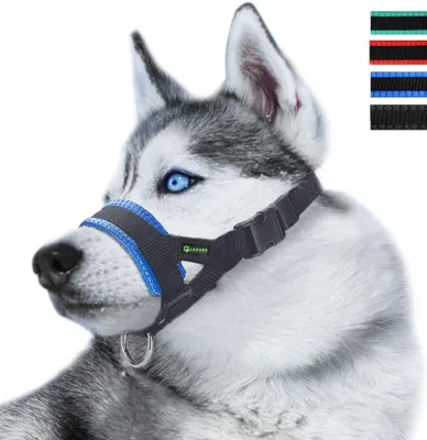 Imagen del producto de Bocadillo para perros duradero y ajustable, adecuado para perros pequeños, medianos y grandes