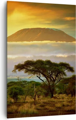 Produktbild von Bild auf Leinwand - Leinwandbild - Einteilig - Safari Tierwelt Berg Kenia - 80x120cm - Wand Bild - Wanddeko - Wandbilder - Leinwanddruck - Wanddekoration - Leinwand bilder - Wandbild - PA80x120-3170