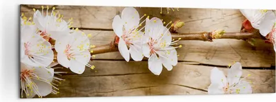 Produktbild von Bild auf Leinwand - Leinwandbild - Blume Stängel - 160x50cm - Wand Bild - Wanddeko - Wandbilder - Leinwanddruck - Bilder - Kunstdruck - Wanddekoration - Leinwand bilder - Wandkunst - AB160x50-3537