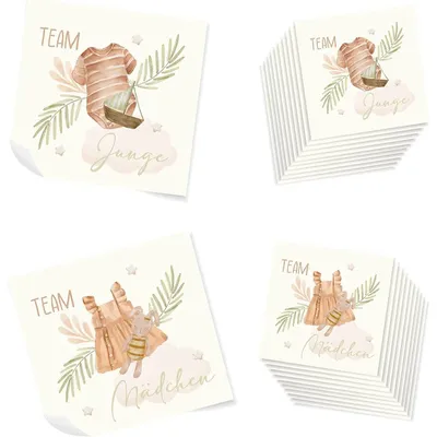 Produktbild von 20 Aufkleber Gender Reveal Babyparty Team Mädchen und Junge