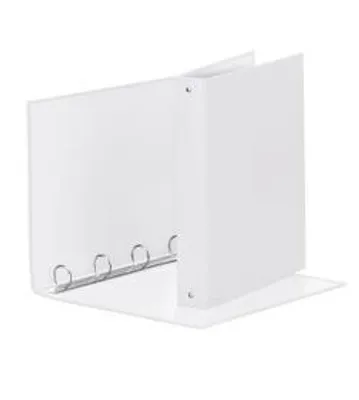 Image de Esselte 395792904 Boîte de classement Plastique Blanc