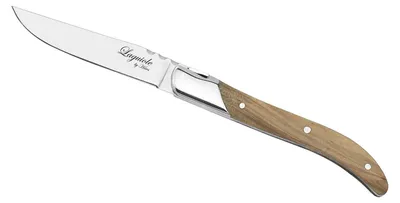 Immagine prodotto di Coltello da bistecca HAWS