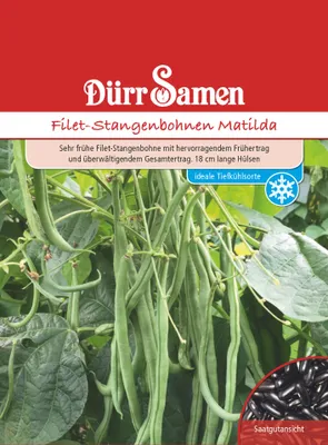 Produktbild von Filet-Stangenbohne Matilda | Filet-Stangenbohnensamen von Dürr Samen