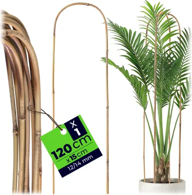 Produktbild von KADAX Bambusstab in U-Form, 120cm x 14/16mm x 15cm, Rankbogen aus Bambus, stabile Rankhilfe in Bogenform, Pflanzstab für Kletterpflanzen, Pflanzenstütze