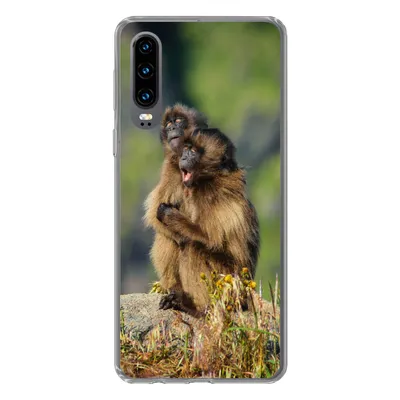 Produktbild von MuchoWow® Handyhülle Schutzhülle Hülle für Huawei P30 Affen - Pflanzen - Steine - Familie Silikon Softcase Handy Hülle - Kartenbesitzer