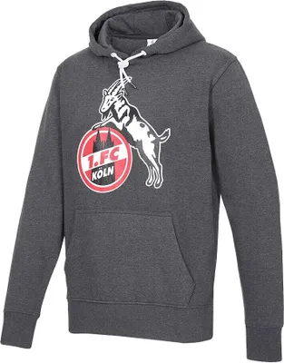 Produktbild von 1. FC Köln Hoodie "Basic anthra"