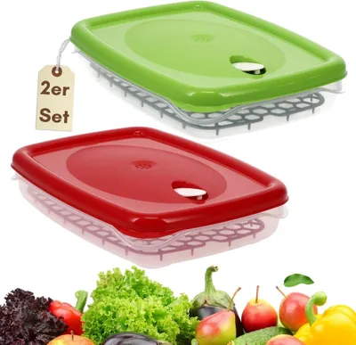 Two food storage containers, one green and one red, are shown with a variety of fresh vegetables and fruits in the foreground.