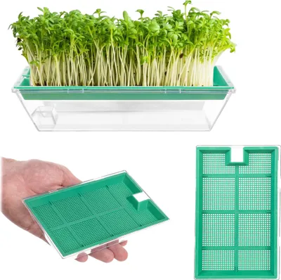 Produktbild von KADAX Sprossenbox klein 16x10cm grün