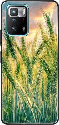 Produktbild von König Design Hülle kompatibel mit Xiaomi Poco X3 GT Kunststoff Soft Handyhülle - Handy Case Kornfeld