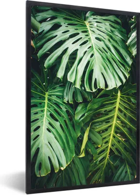 Produktbild von MuchoWow® Gerahmtes Poster Musterblätter 40x60 cm - Poster mit Schwarzem Bilderrahmen Wandposter Rahmen Foto Bilder - Papierdruck - Wandbilder
