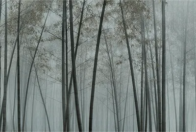 Produktbild von Tadessi Fototapete | Bambus | 4.00 m  x 2.70 m | Grau | Schwarz | Wandbild | Digitaldruck